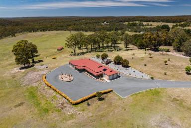 Lifestyle For Sale - NSW - Gundary - 2580 - Immaculate Country Family Homestead On 100 Pristine Acres  (Image 2)