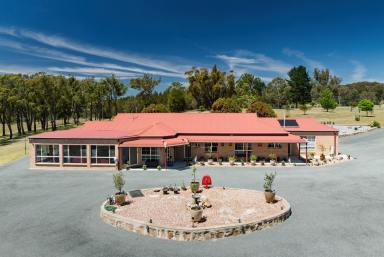 Lifestyle For Sale - NSW - Gundary - 2580 - 100 PRISTINE ACRE FARM, WORKSHOP, CREEK, POWER, SOLAR, GRAZING, IMMACULATE.  (Image 2)