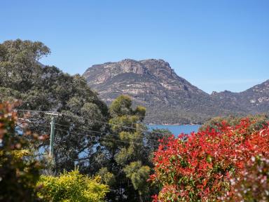 House For Sale - TAS - Coles Bay - 7215 - Location, location, location! (Image 2)