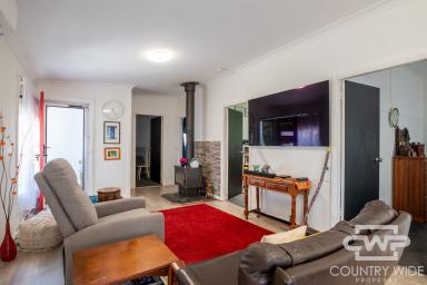 House For Sale - NSW - South Guyra - 2365 - Charming Cottage Home  (Image 2)