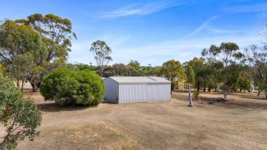Residential Block For Sale - VIC - Axedale - 3551 - Scenic Axedale Acreage with Shed & Water  (Image 2)