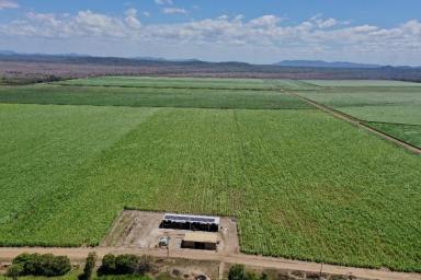 Other (Rural) For Sale - QLD - Fredericksfield - 4806 - 531 Acre Irrigated Cropping Property - Sheds - Machinery  (Image 2)