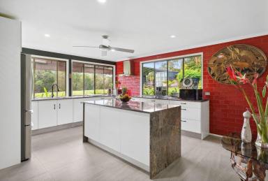 House For Sale - QLD - Cooroy - 4563 - Idyllic Horse-Friendly 5.41-Acre Acreage Near Cooroy (Image 2)