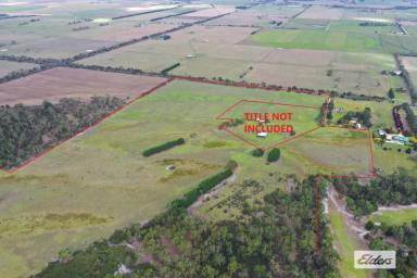 Other (Rural) For Sale - VIC - Yarram - 3971 - ACREAGE CLOSE TO TOWN (Image 2)