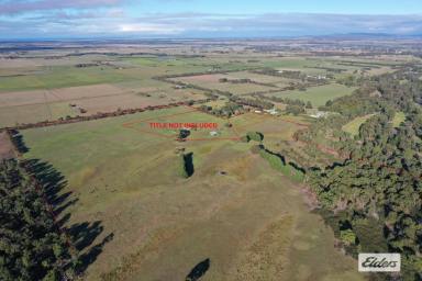 Other (Rural) For Sale - VIC - Yarram - 3971 - ACREAGE CLOSE TO TOWN (Image 2)