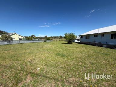 Residential Block For Sale - NSW - Tingha - 2369 - Affordable Living Development Opportunity  (Image 2)