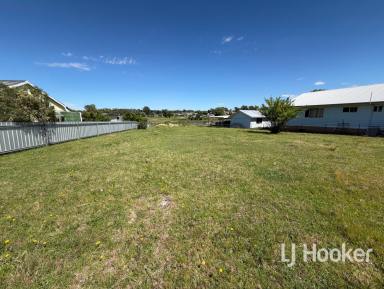 Residential Block For Sale - NSW - Tingha - 2369 - Affordable Living Development Opportunity  (Image 2)