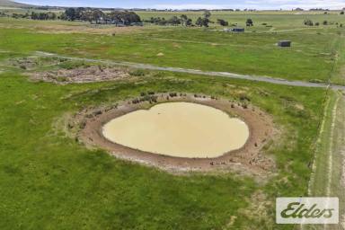 Other (Rural) For Sale - VIC - Creswick North - 3363 - Create Your Country Haven of Opportunity on Creswick’s Outskirts  (Image 2)