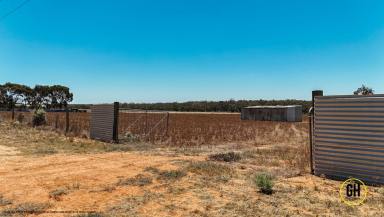 Residential Block For Sale - VIC - Nyah - 3594 - Your Murray River Lifestyle Awaits!  (Image 2)