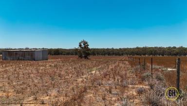 Residential Block For Sale - VIC - Nyah - 3594 - Your Murray River Lifestyle Awaits!  (Image 2)