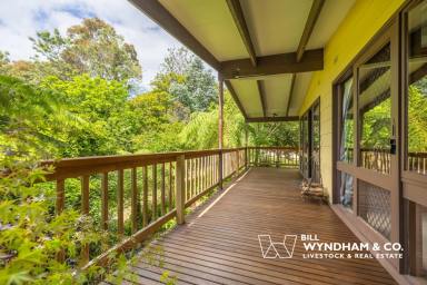 House For Sale - VIC - Metung - 3904 - The Treehouse  (Image 2)