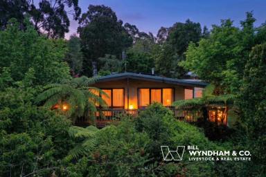 House Sold - VIC - Metung - 3904 - The Treehouse  (Image 2)