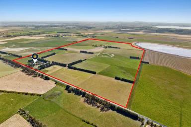 Cropping For Sale - VIC - Irrewarra - 3249 - HIGH QUALITY COLAC DISTRICT HOLDING  (Image 2)