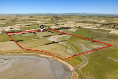 Cropping For Sale - VIC - Irrewarra - 3249 - HIGH QUALITY COLAC DISTRICT HOLDING  (Image 2)