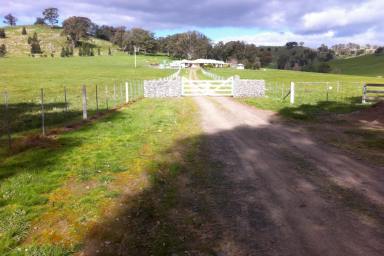 Lifestyle For Sale - VIC - Sheans Creek - 3666 - Premium, Sheans Creek (60ac) Holding - Minutes from Euroa  (Image 2)