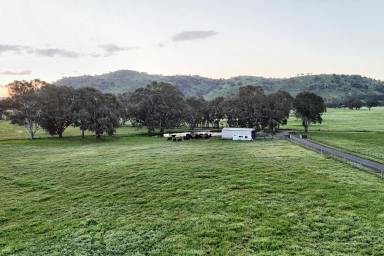 Lifestyle For Sale - VIC - Euroa - 3666 - 'Inverness' - A Prestigious Address, An Extraordinary Lifestyle  (Image 2)