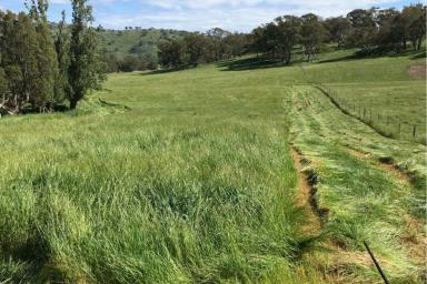 Lifestyle For Sale - VIC - Sheans Creek - 3666 - Premium, Sheans Creek (60ac) Holding - Minutes from Euroa  (Image 2)