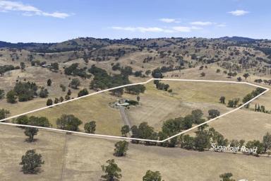 Lifestyle For Sale - VIC - Sheans Creek - 3666 - Premium, Sheans Creek (60ac) Holding - Minutes from Euroa  (Image 2)