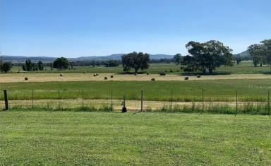 Lifestyle For Sale - VIC - Sheans Creek - 3666 - Premium, Sheans Creek (60ac) Holding - Minutes from Euroa  (Image 2)