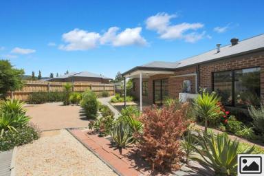 House For Lease - VIC - Moe - 3825 - Four-bedroom Home with that new feeling  (Image 2)