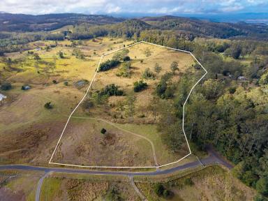 Lifestyle For Sale - QLD - Bellthorpe - 4514 - PURE HINTERLAND BLISS (Image 2)