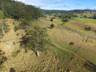 Lifestyle For Sale - QLD - Bellthorpe - 4514 - PURE HINTERLAND BLISS (Image 2)
