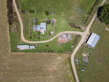 Mixed Farming For Sale - VIC - Gorae West - 3305 - Well Established With Excellent Infrastructure  (Image 2)