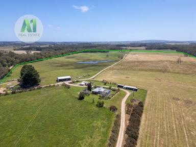 Mixed Farming For Sale - VIC - Gorae West - 3305 - Well Established With Excellent Infrastructure  (Image 2)