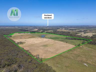 Mixed Farming For Sale - VIC - Gorae West - 3305 - Well Established With Excellent Infrastructure  (Image 2)
