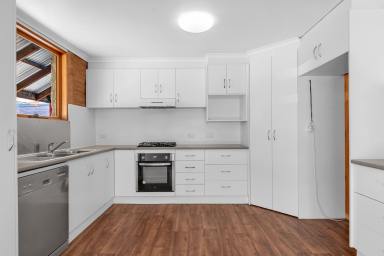 House For Sale - VIC - Mildura - 3500 - Terrific Outdoor Entertaining Space  (Image 2)