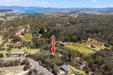 Residential Block For Sale - TAS - Forcett - 7173 - Acreage, Aspect and Coastal Hints on 2.53 Acres of Rural Living  (Image 2)