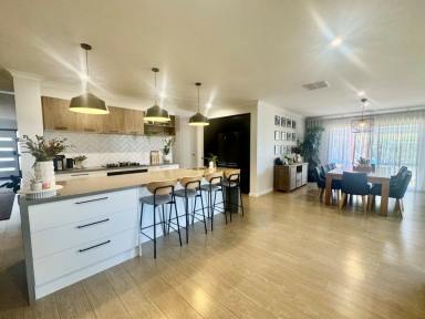 House For Sale - NSW - Moama - 2731 - SNEAK PEAK - REGISTER YOUR INTEREST IN THE NEW YEAR  (Image 2)