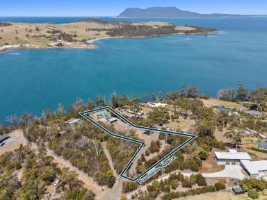 House For Sale - TAS - Triabunna - 7190 - Stunning water views, lifestyle and location.  (Image 2)