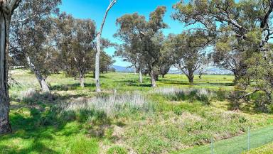 Lifestyle For Sale - NSW - Willow Tree - 2339 - 7.09 ACRES VACANT LAND WITH OPTIONS  (Image 2)
