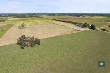 Lifestyle For Sale - VIC - Irrewillipe - 3249 - Secure Your Future in Agriculture…  (Image 2)