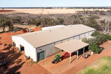 Mixed Farming For Sale - NSW - Hillston - 2675 - Highly Regarded Horticulture Operation (Image 2)