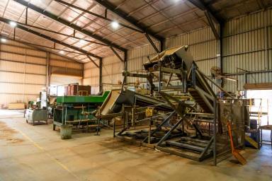 Mixed Farming For Sale - NSW - Hillston - 2675 - Highly Regarded Horticulture Operation (Image 2)