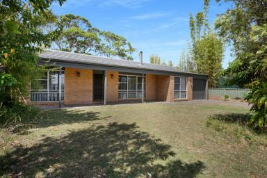 House For Sale - NSW - Shoalhaven Heads - 2535 - Easy Living in the Heart of Shoalhaven Heads (Image 2)