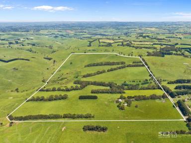 Other (Rural) For Sale - VIC - Mardan - 3953 - Highly Productive Grazing Property!  (Image 2)