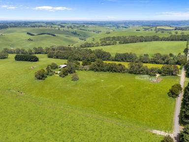 Other (Rural) For Sale - VIC - Mardan - 3953 - Highly Productive Grazing Property!  (Image 2)