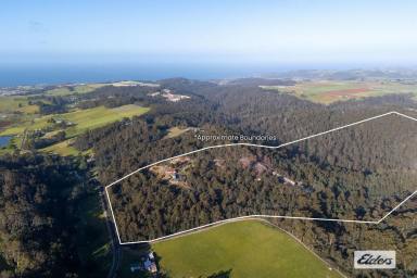House For Sale - TAS - Ulverstone - 7315 - THE ULTIMATE TREE CHANGE  (Image 2)