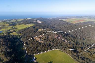 House For Sale - TAS - Ulverstone - 7315 - THE ULTIMATE TREE CHANGE (Image 2)