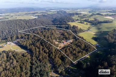 House For Sale - TAS - Ulverstone - 7315 - THE ULTIMATE TREE CHANGE  (Image 2)