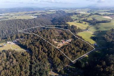 House For Sale - TAS - Ulverstone - 7315 - THE ULTIMATE TREE CHANGE (Image 2)