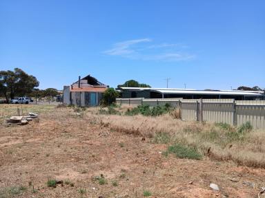 Land/Development For Sale - WA - Norseman - 6443 - 95a roberts st norseman in the middle of town  (Image 2)