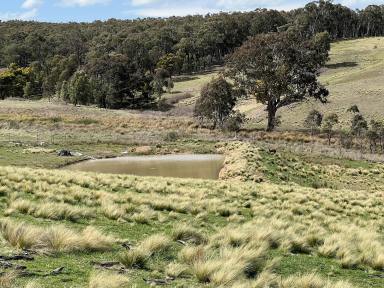 Lifestyle For Sale - NSW - Kingsdale - 2580 - Approved Shed | Scenic Views | Peaceful Lifestyle | 40 Acres  (Image 2)
