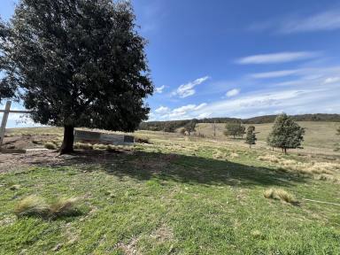 Lifestyle For Sale - NSW - Kingsdale - 2580 - Perfect Weekender, Approved Shed, Views, Peaceful, Lifestyle 40 Acres  (Image 2)