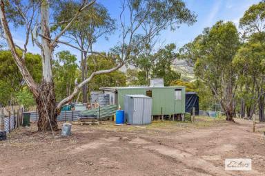 Lifestyle For Sale - VIC - Landsborough - 3384 - Amazing Pyrenees Weekender - Lifestyle - Prospecting (Image 2)