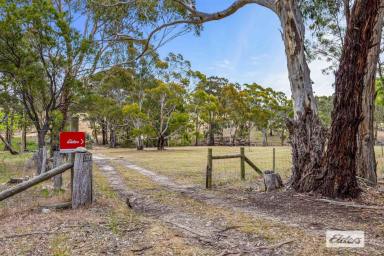 Lifestyle For Sale - VIC - Landsborough - 3384 - Amazing Pyrenees Weekender - Lifestyle - Prospecting (Image 2)