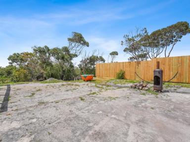Residential Block For Sale - TAS - Bicheno - 7215 - A Coastal Gem with Approved Plans & Ocean Views  (Image 2)